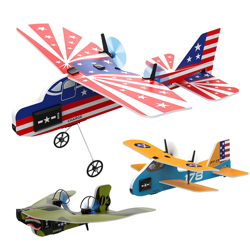 Rc Wing Glider - Mini RC Vliegtuig 2.4G 2CH Vaste
