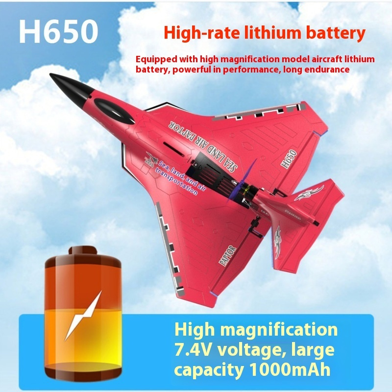 H650 Grote RC Vliegtuig Waterd - Rc Wing Glider recensie en prijs