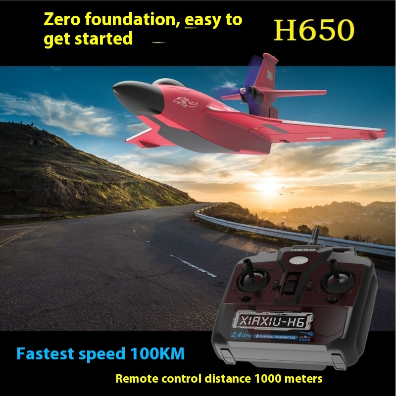 H650 Grote RC Vliegtuig Waterd - Rc Wing Glider recensie en prijs