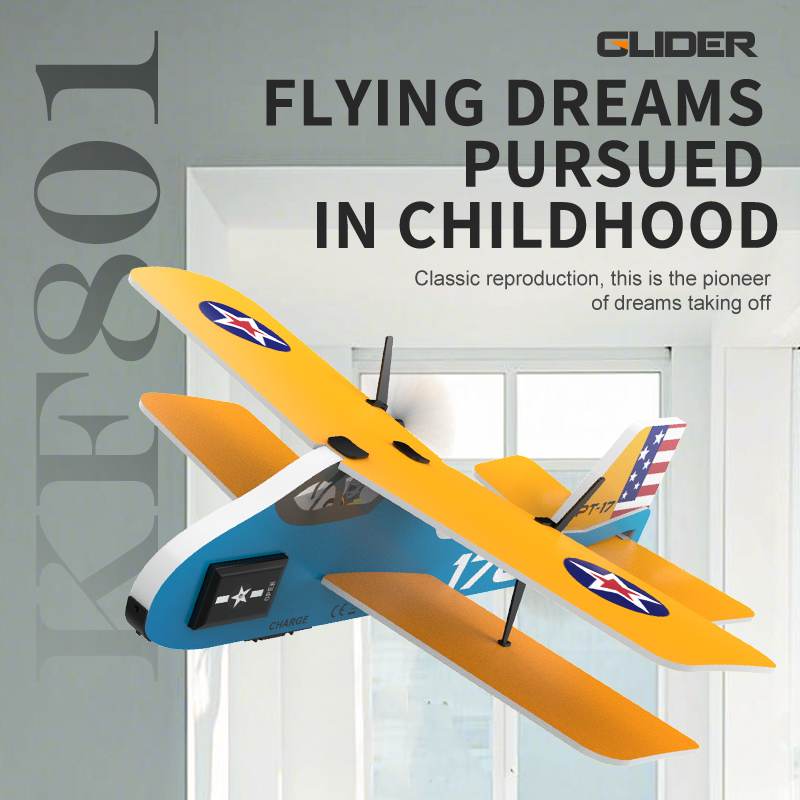 Mini RC Vliegtuig 2.4G 2CH Vas - Rc Wing Glider recensie en prijs