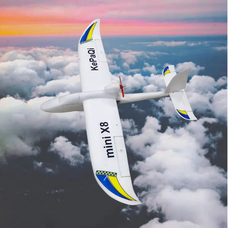 X8 Mini RC Vliegtuig, 800mm Sp - Rc Wing Glider recensie en prijs